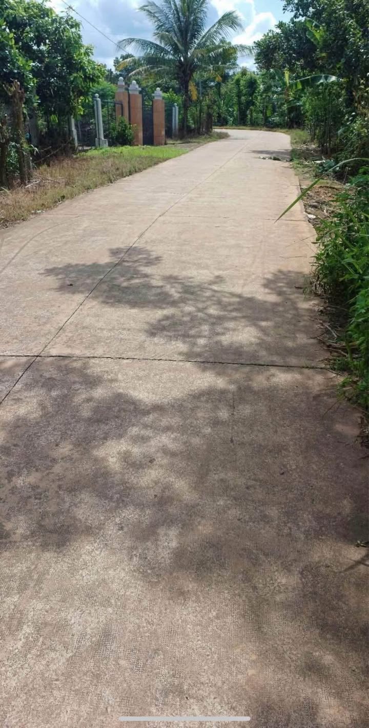 Đất nền 1.8ha tại Ấp 5, Phú Tân, Định Quán - Giá 3.4 tỷ, sổ hồng riêng!