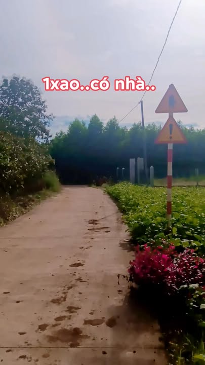 Đất nền 3600m² tại Ngọc Định, Định Quán - Giá chỉ 690 triệu - Đầu tư sinh lời tốt!