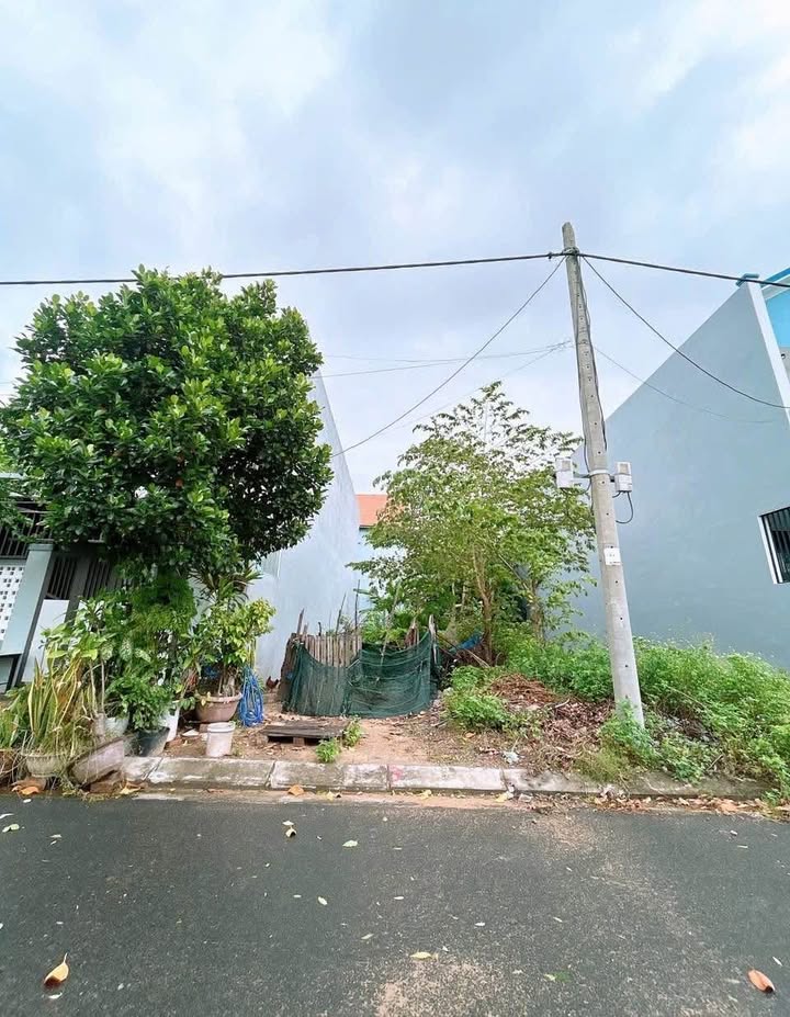 Lô đất 100m² mặt tiền Bá Tùng - Đầu tư sinh lời chỉ 4.05 tỷ!