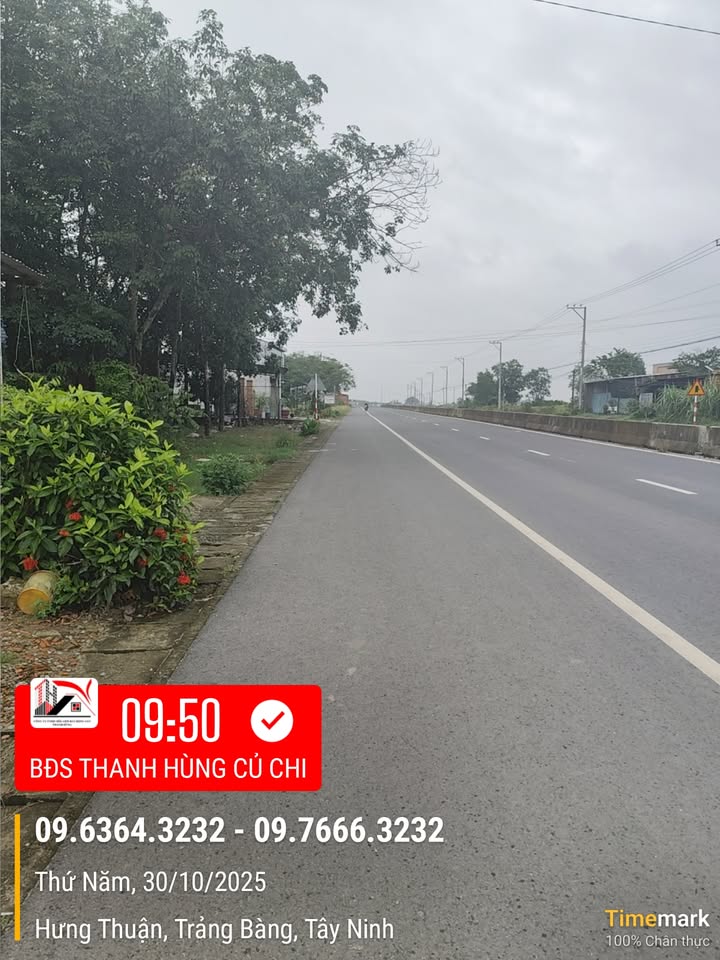 Đất mặt tiền đường nhựa 787, xã Hưng Thuận, Tây Ninh 248.4m² - Giá 2 tỷ thương lượng