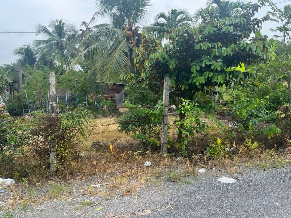 Đất thổ cư xã Thạnh Đức, Gò Dầu 1120m² giá chỉ 1.5 tỷ - Cơ hội đầu tư tuyệt vời!