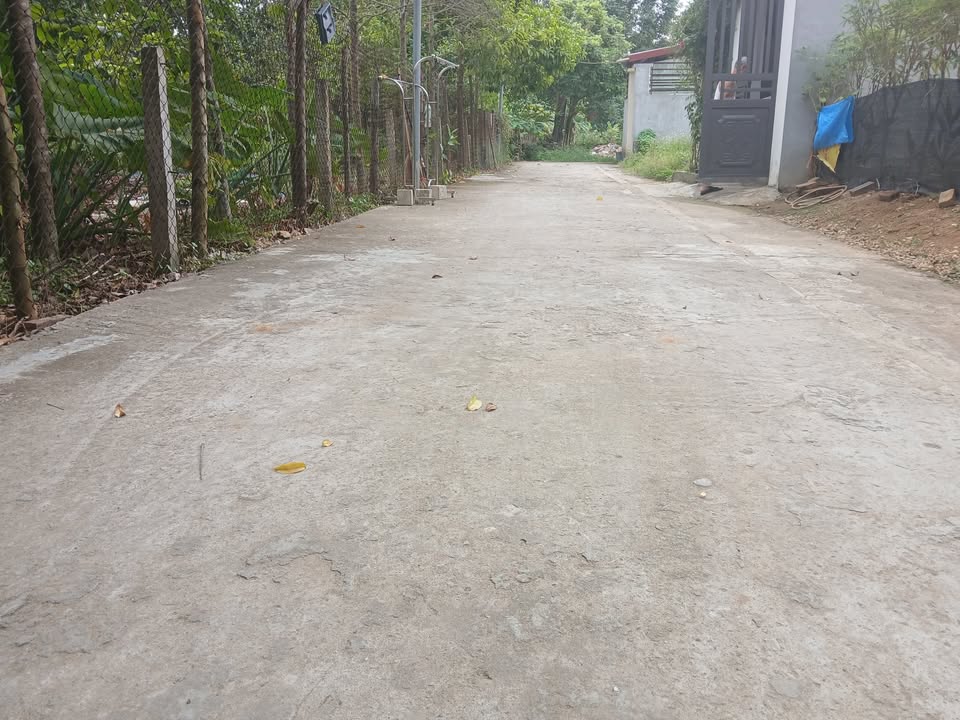 Đất nền đẹp tại Khu Liên Minh, Phường Nông Trang 83m² - Đầu tư sinh lời lý tưởng!