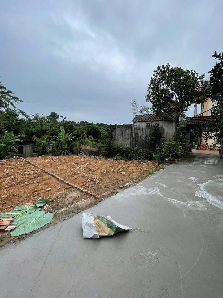 Đất thổ cư Liên Bão, Tiên Du - 80m² chỉ 1 tỷ - Chính chủ bán gấp!