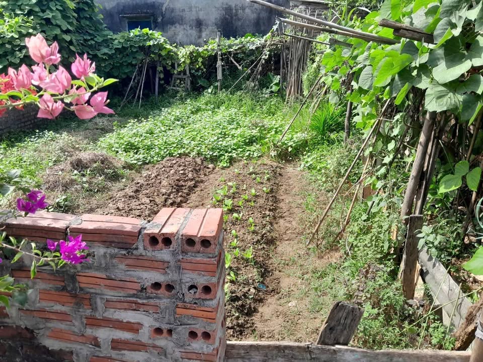 Đất Kim Chung Đông Anh 70m² giá 5XX triệu - Đường ô tô vào tận nơi!