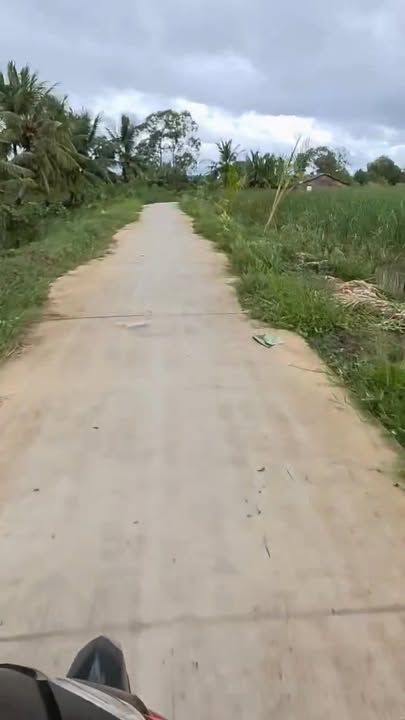 Đất nông nghiệp Tân Thạnh, Long Phú, 5129m² - Mặt tiền 100m, giá thỏa thuận!