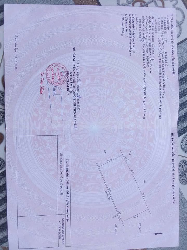 Đất ruộng Tân Tây 2056m² giá 540 triệu - Cơ hội đầu tư tuyệt vời!