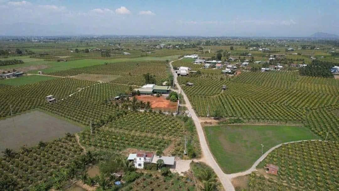 Đất nền Hàm Đức, Hàm Thuận Bắc 1900m² giá 790 triệu - Cơ hội đầu tư hấp dẫn!