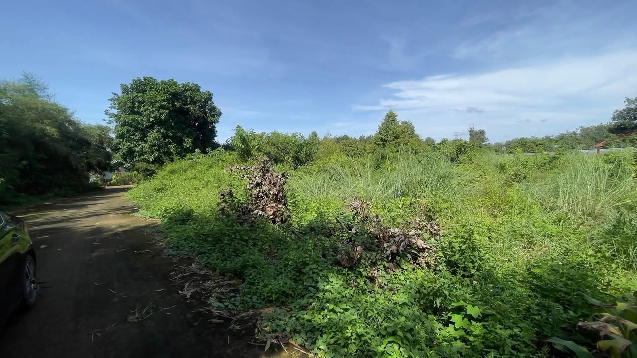 Đất nền khu phố Phú Lạc, Bình Long 190m² giá chỉ 280 triệu - Mặt tiền bê tông hiện hữu!