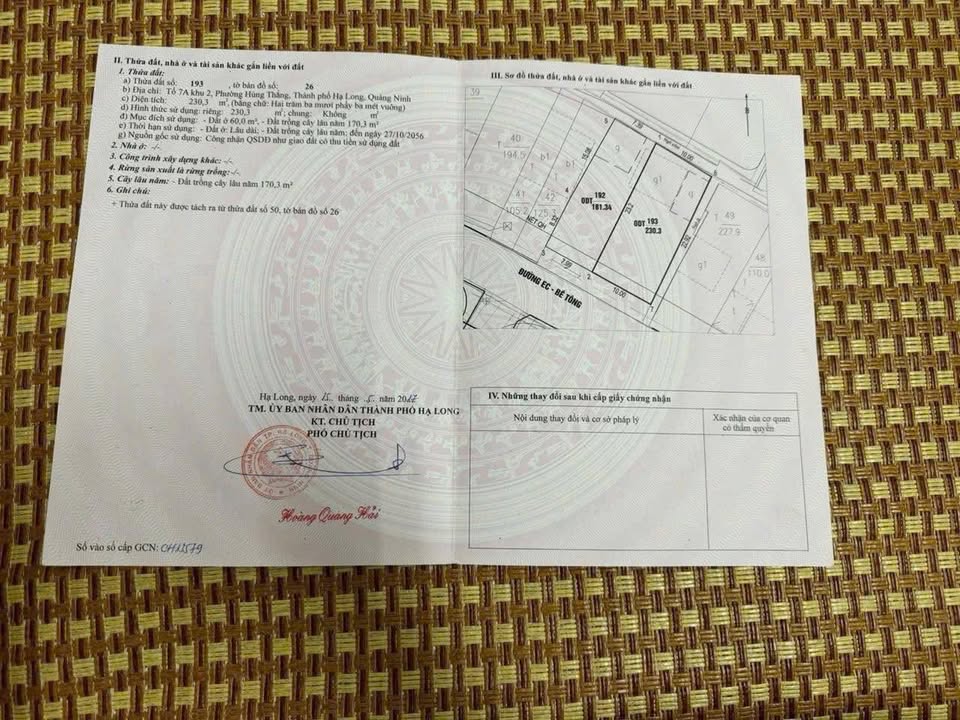 Đất Mặt Đường EC Hạ Long 230m² giá 10 tỷ - Vị trí kinh doanh đắc địa!