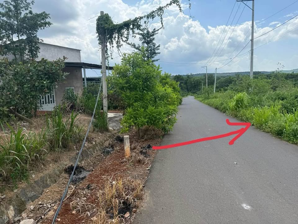 Đất nền Suối Rao, Châu Đức, Bà Rịa - 1500m² giá chỉ 1.1 tỷ - Sổ hồng chính chủ!