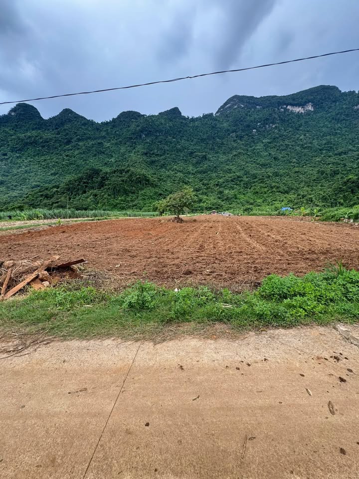 Đất nền Phong Quang, Hà Giang 2000m² giá 600 triệu - Cơ hội đầu tư tốt!