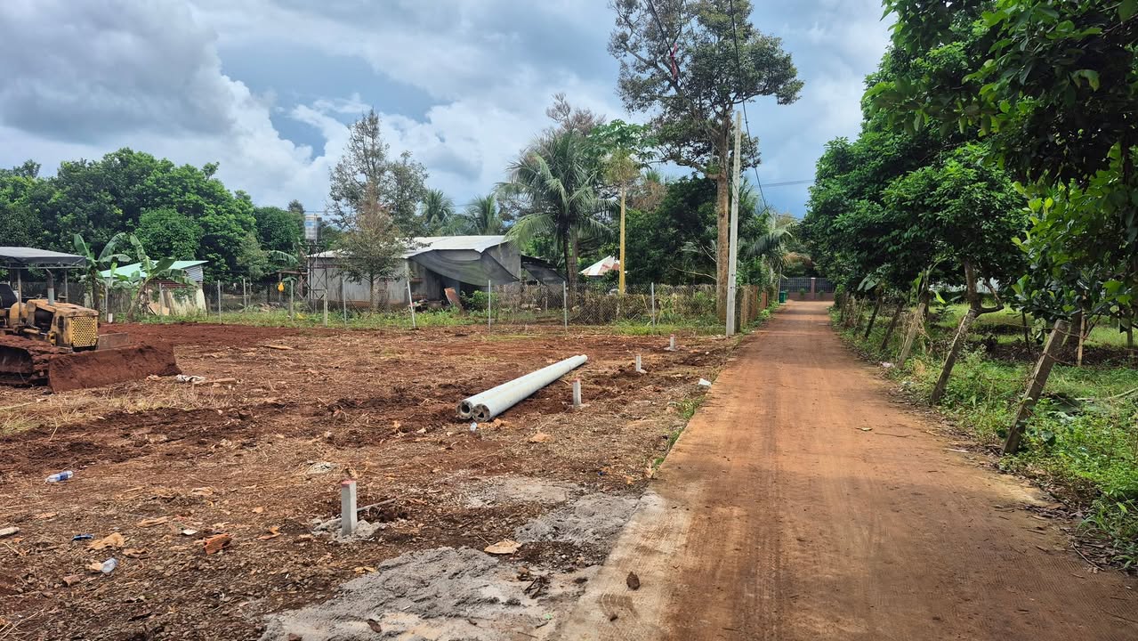 Đất nền thổ cư tại Bình Lộc, Long Khánh 135m² giá 790 triệu - Sổ hồng riêng từng nền!