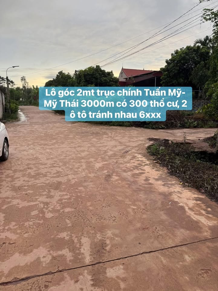 Đất nền Tân Thanh Lạng Giang 3000m² giá thỏa thuận - Lô góc 2 mặt tiền đẹp!