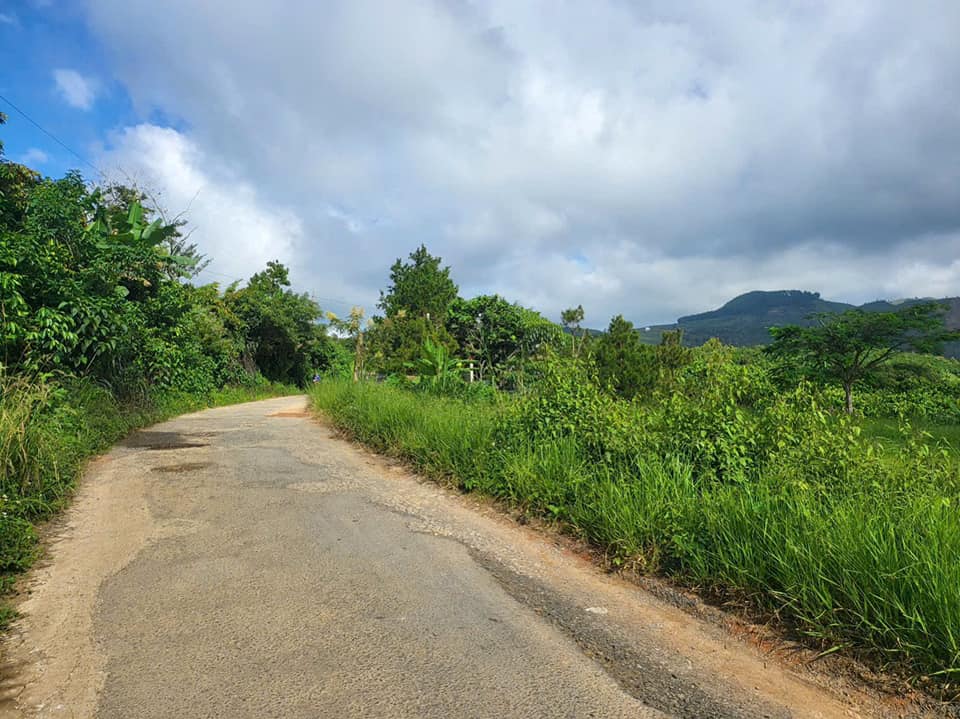 Đất nền Lộc Thành, Bảo Lâm 5000m² giá 6.5 tỷ - Sổ đỏ chính chủ, vị trí đẹp!