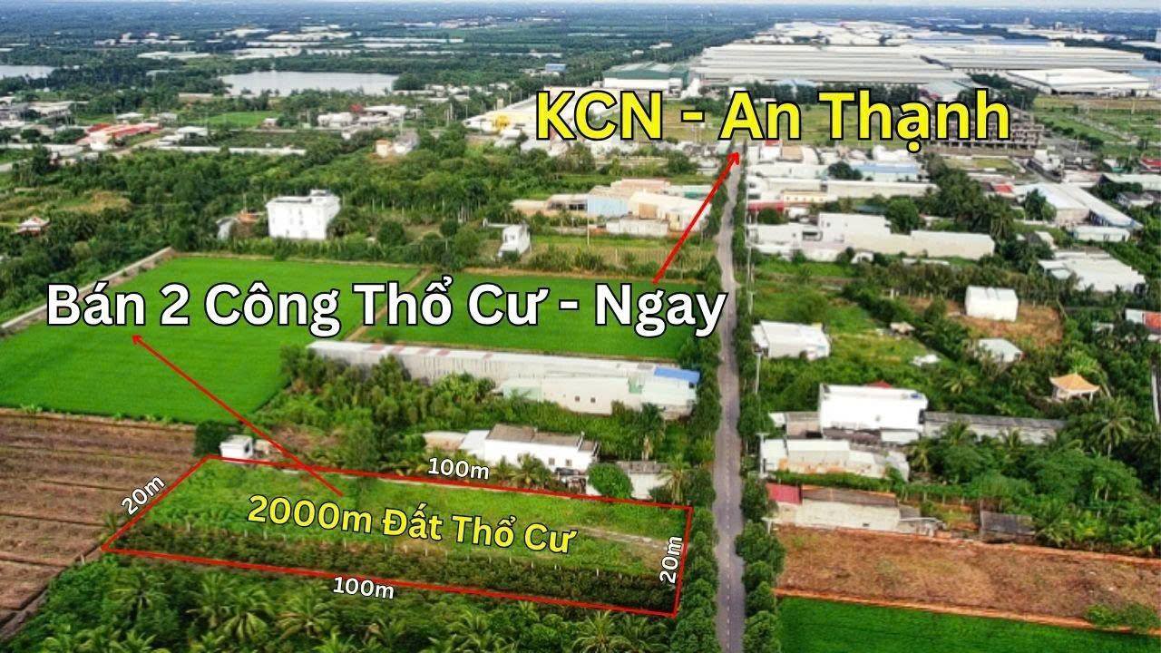 Đất thổ cư 2000m² mặt tiền đường ấp 10, Bến Lức - Giá tốt 16 tỷ!