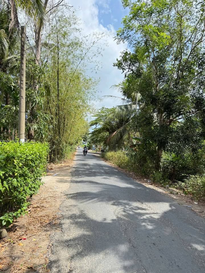 Đất mặt tiền Hương Lộ 1, Kế Sách diện tích 3760m² - Cơ hội đầu tư tuyệt vời!