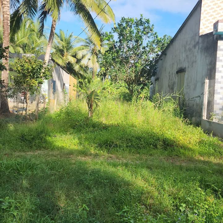 Đất thổ cư 395m² tại Phước Mỹ Trung, Mỏ Cày Bắc - Giá chỉ 450 triệu!