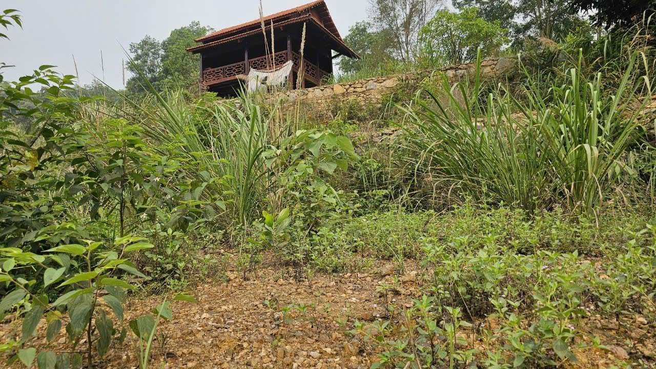 Đất nghỉ dưỡng Cư Yên Lương Sơn 540m² giá 2 tỷ - Cơ hội đầu tư hấp dẫn!