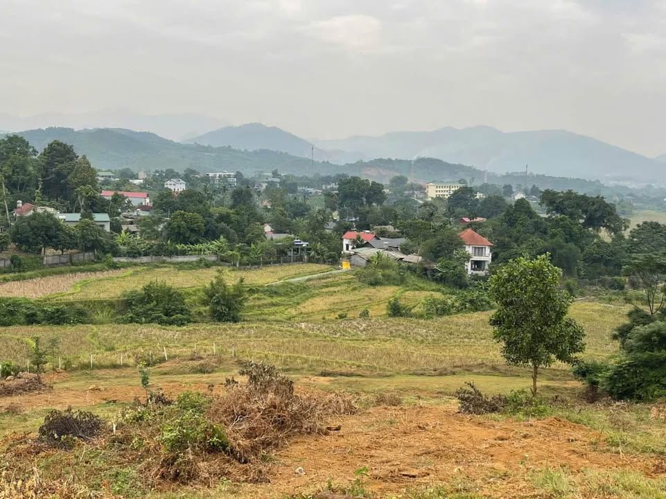 Đất nền Cư Yên Lương Sơn 2700m² giá 2.7 tỷ - Đầu tư sinh lời ngay!