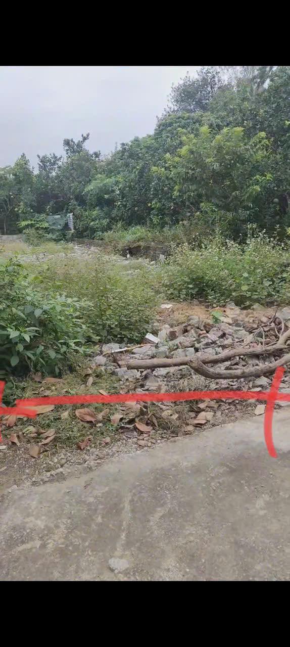 Đất nền tại Phường Tự Lạn, Việt Yên 95m² giá chỉ 600 triệu - Đường ô tô vào tận nơi!