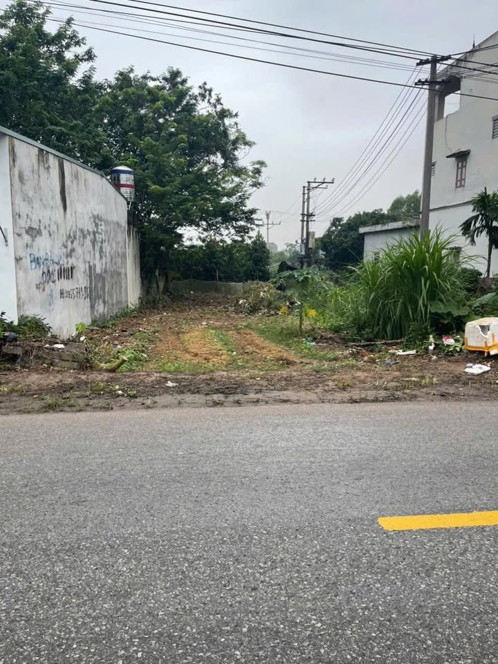 Đất nền Xuân Phú Bắc Giang 150m² giá 3 tỷ - Mặt tiền kinh doanh đắc địa!