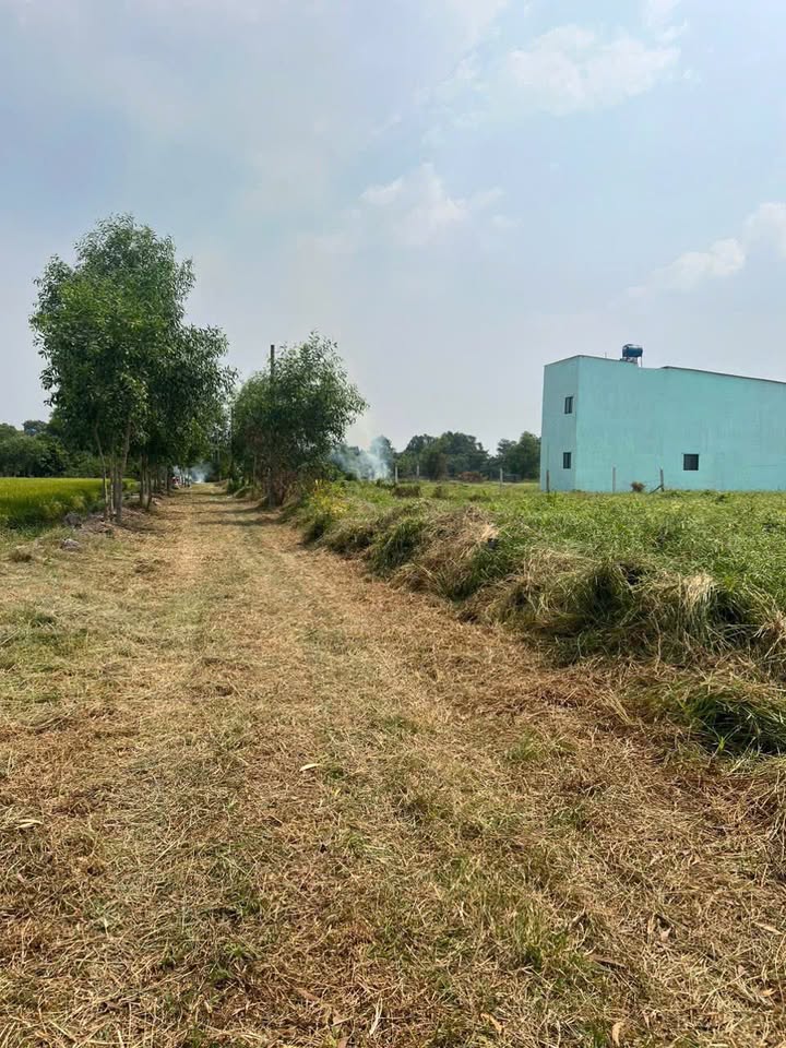 Đất nền khu phố 1, Đức Hòa 115m² giá chỉ 920 triệu - Sổ hồng riêng, chính chủ!