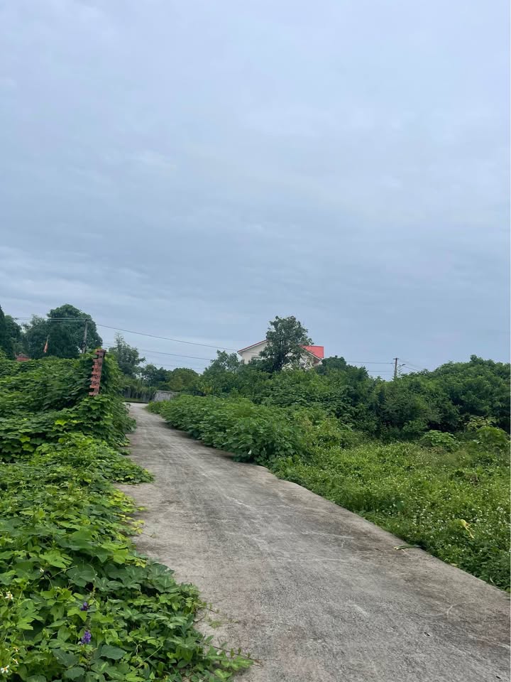 Đất thổ cư Thôn 1, Hải Xuân 500m² giá 900 triệu - Cơ hội đầu tư tuyệt vời!