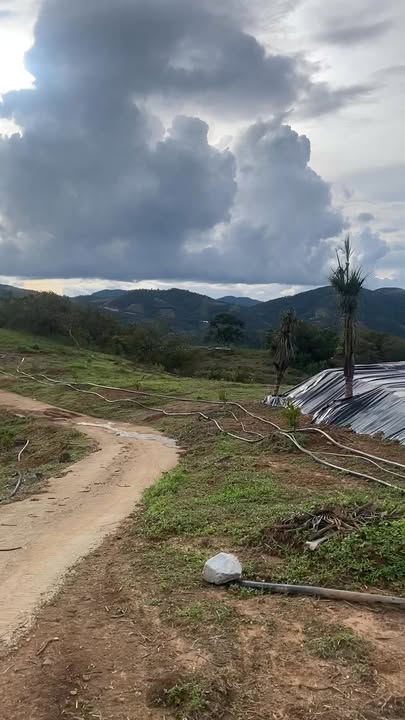 Đất nông nghiệp Đạ Ploa 2,5ha chỉ 2,5 tỷ - Cơ hội đầu tư hấp dẫn!