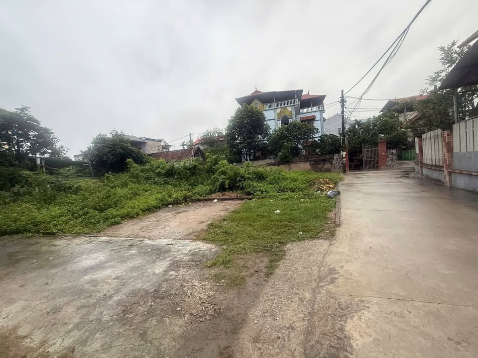 Đất nền Lê Dương, Tam Hưng 51m² giá 4 tỷ - Lô góc đẹp, gần cụm công nghiệp!