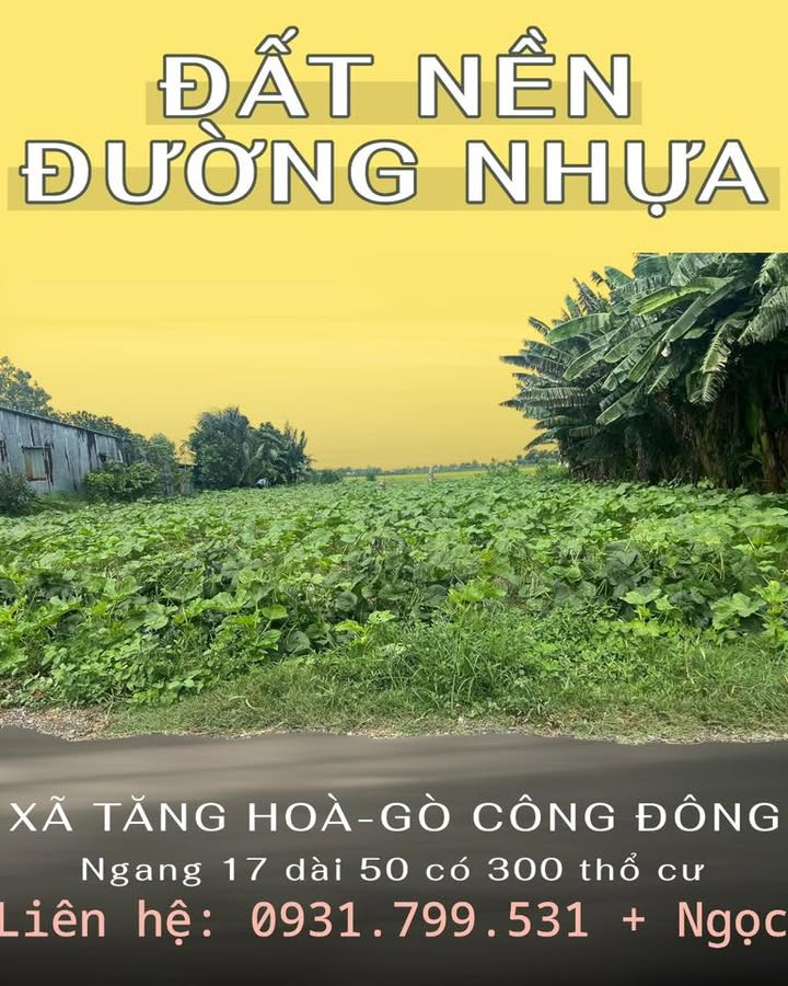 Đất nền Gò Công Đông 850m² giá 1,1 tỷ - Đầu tư sinh lời ngay!