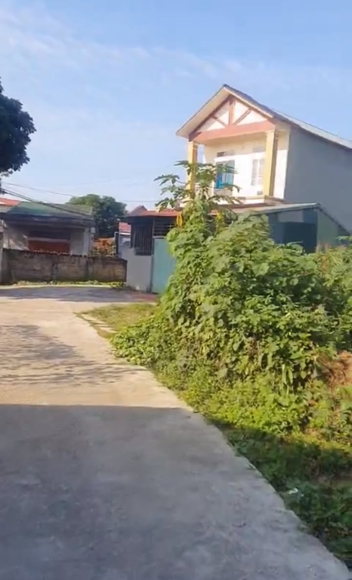 Đất thổ cư 220m² tại Phú Nham, Phù Ninh - Cơ hội đầu tư không thể bỏ qua!