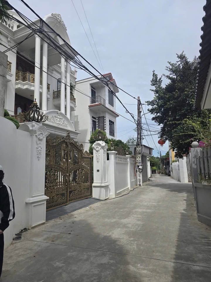 Đất nền Thanh Lâm Mê Linh 100m² giá chỉ 3 triệu/m² - Cơ hội đầu tư tuyệt vời!