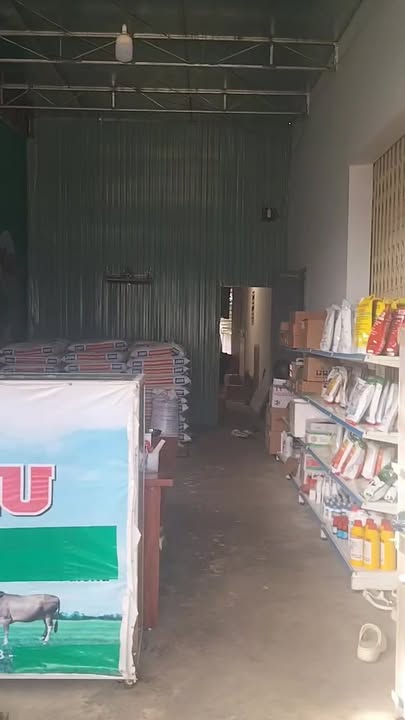 Nhà phố Đường Nguyễn Thị Minh Khai, Đăk Hà, 320m² giá chỉ 3 tỷ - Vị trí đẹp, thổ cư 100%!