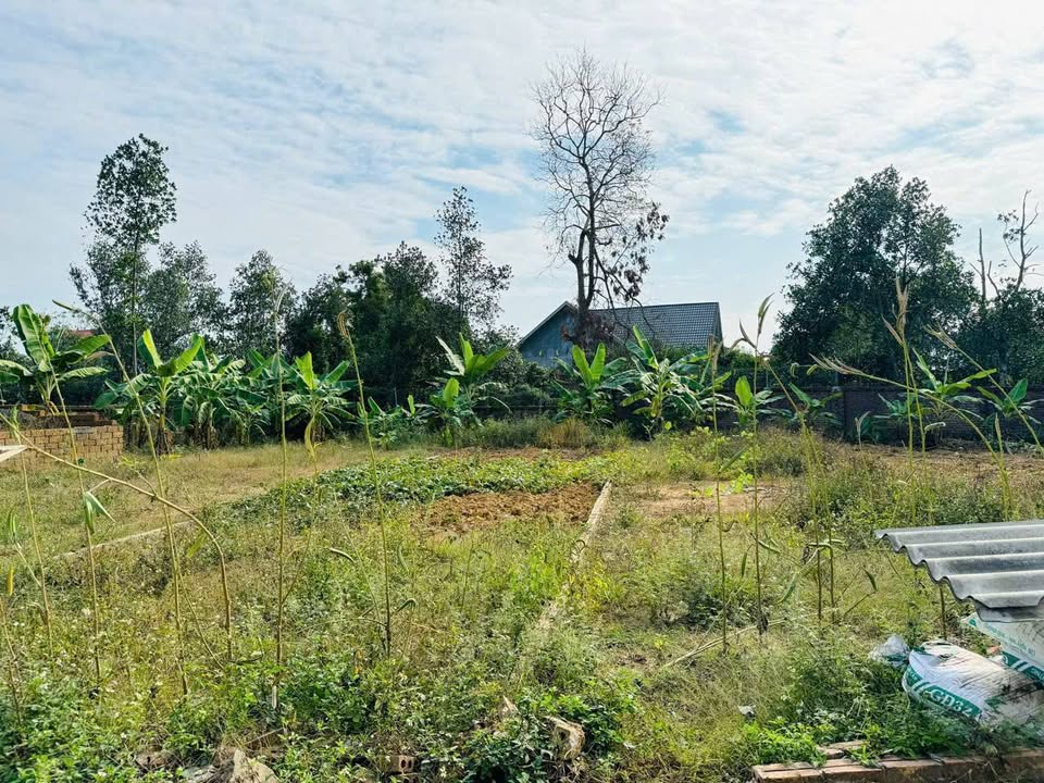 Đất nền Lại Thượng 140m² giá chỉ 10.2 triệu - Đường ô tô vào tận nơi!