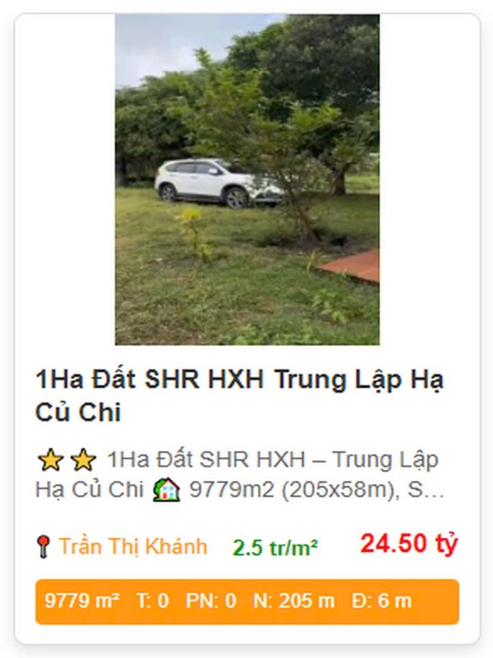 Đất nền 1Ha sổ hồng chính chủ tại Trung Lập Hạ, Củ Chi - Cơ hội đầu tư hấp dẫn!