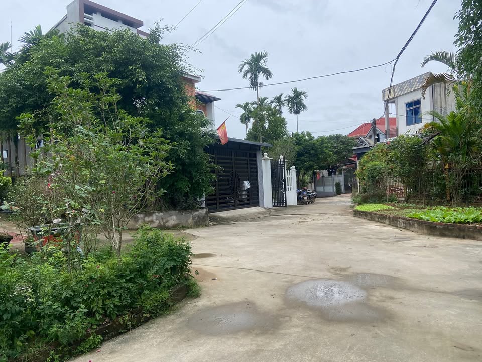 Đất thổ cư khu 3 thị trấn Hạ Hoà 132m² giá 1 tỷ - Cơ hội đầu tư lý tưởng!