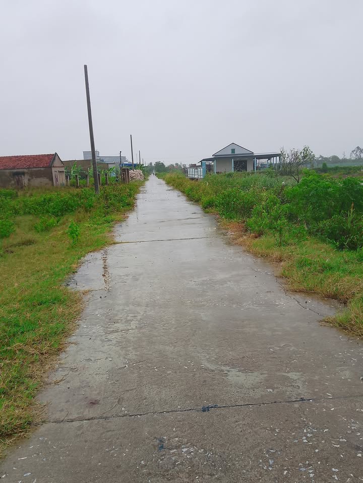 Đất nền tại xã Kim Hải, Kim Sơn 200m² - Đầu tư sinh lời hấp dẫn!