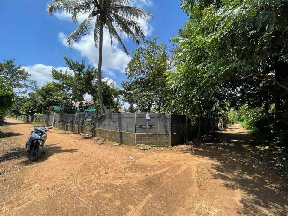 Đất nền đường Nguyễn Xuân Nguyên - 100m² giá 1.55 tỷ - Sổ đỏ chính chủ!