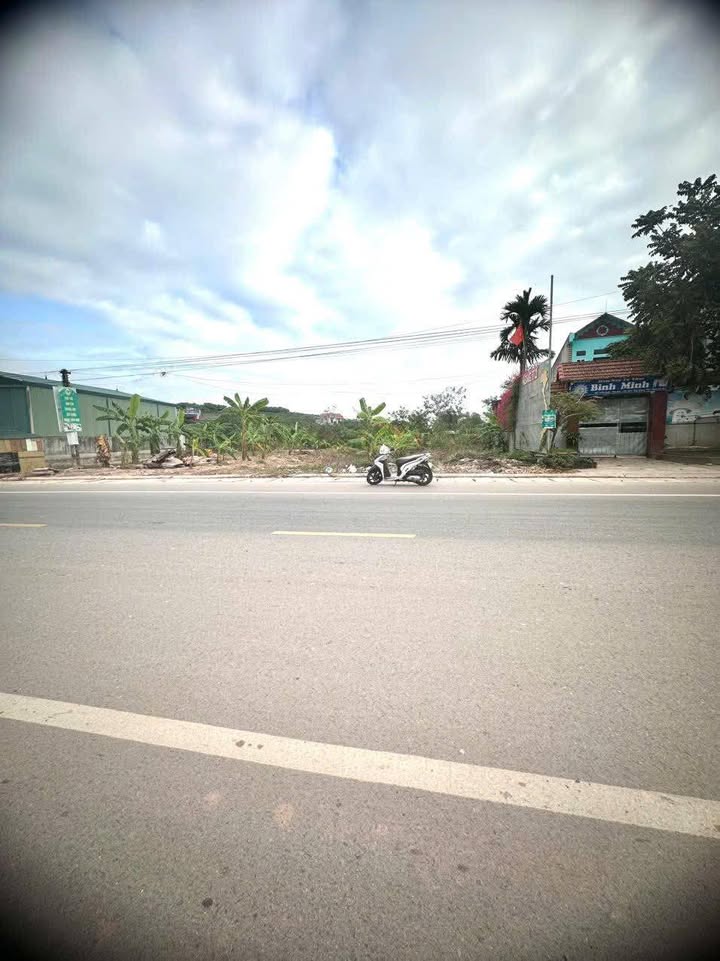 Đất nền Hợp Đức, Tân Yên 100m² giá 2 tỷ - Mặt tiền đường TL295, kinh doanh sầm uất!