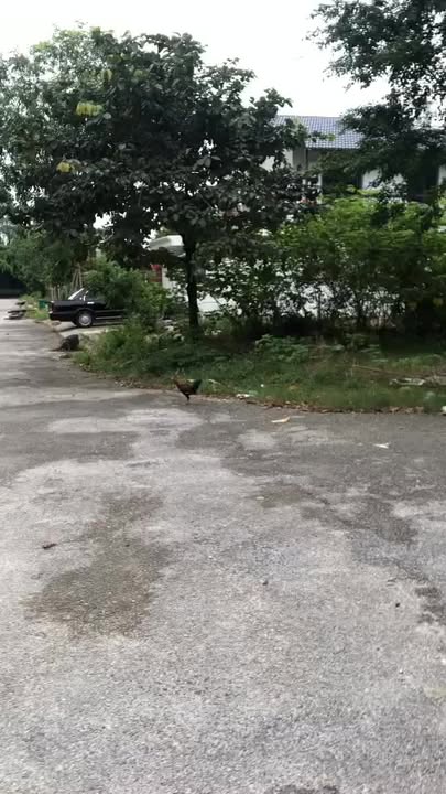 Lô góc biệt thự 200m² tại Phường Hạc Thành, TP. Thanh Hóa - Vị trí vàng đón đầu quy hoạch