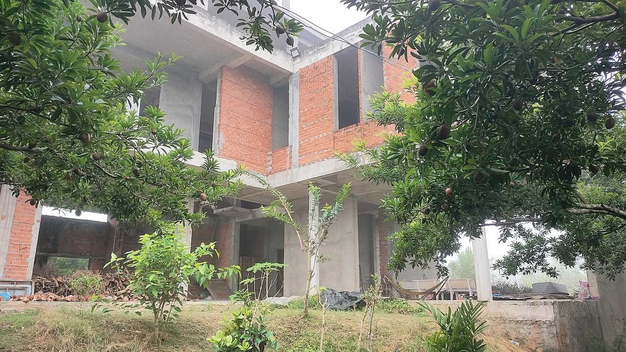 Đất mặt tiền Tỉnh lộ 864, xã Tam Bình, 8.900m² chỉ 45 tỷ - Cơ hội đầu tư tuyệt vời!