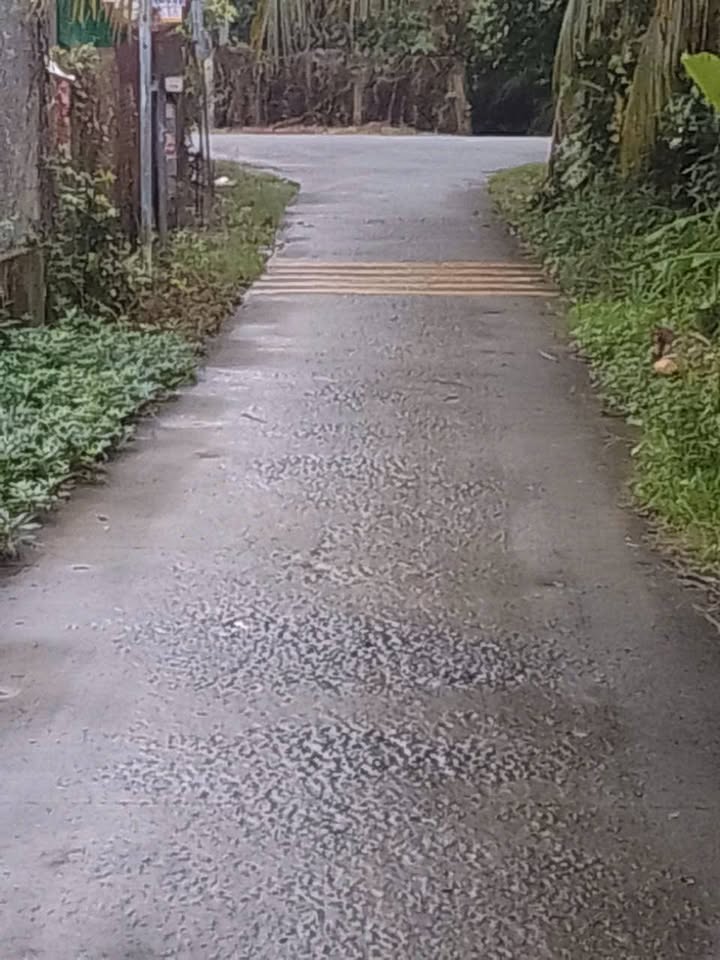 Nhà riêng ấp Hòa Bình, Chợ Gạo 310m² giá 1.6 tỷ - Chính chủ bán gấp!