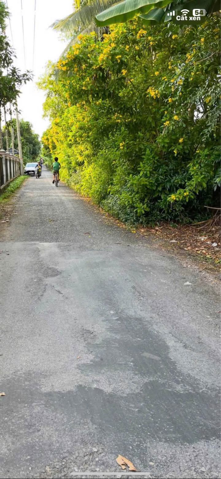 Đất nền Mỹ Hòa, Long Xuyên 1400m² giá 5 tỷ - Đường nhựa ô tô vi vu!