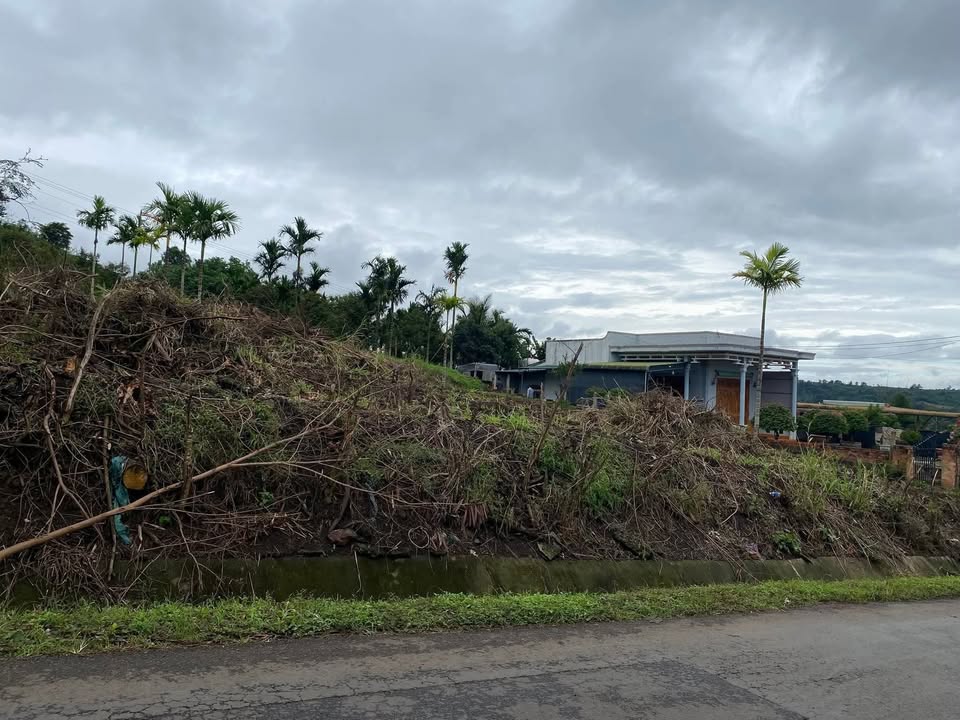 Đất mặt tiền Quốc Lộ 29, Krông Năng 1320m² giá 138.6 tỷ - Đầu tư sinh lời ngay hôm nay!