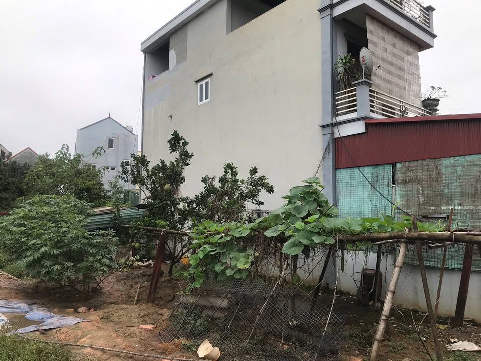 Đất thổ cư Thôn Thúy Lai, Thạch Thất 152m² giá chỉ từ 200 triệu - Cơ hội đầu tư sinh lời!