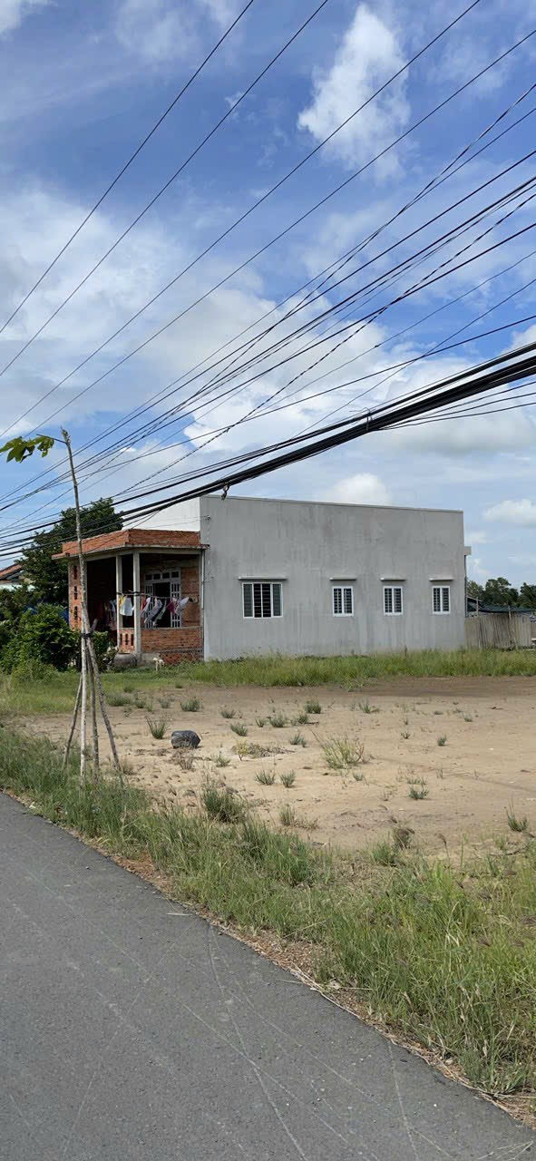 Đất thổ cư 250m² mặt tiền đường huyện lộ 21 xã Phước Tuy giá 1.75 tỷ - Đầu tư sinh lời ngay!