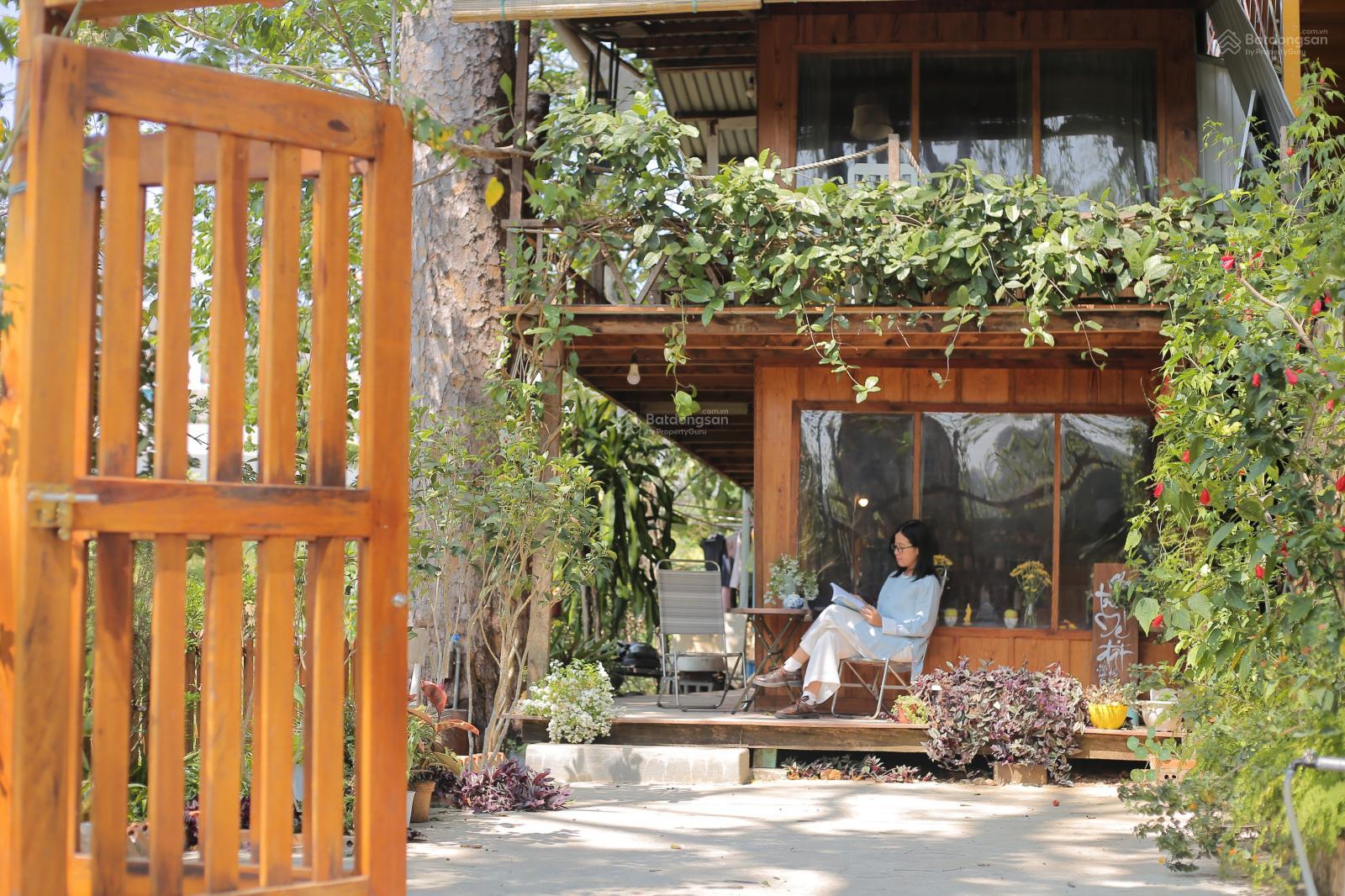 Nhà gỗ cho thuê tại Đà Lạt 120m² giá 8 triệu - Sân vườn xanh mát giữa thung lũng