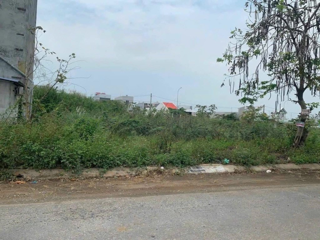 Đất nền 100m² đường B1 khu dân cư Tân Phú - Sổ đỏ chính chủ chỉ 2.09 tỷ!