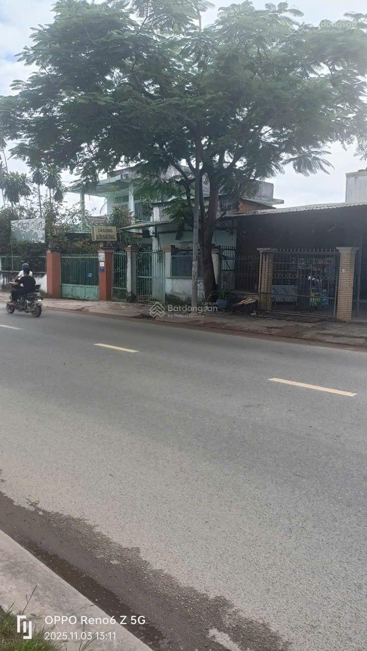 Đất nền chính chủ 177m² tặng nhà cấp 4 tại Tân Đông Hiệp, 3,9 tỷ - Tiềm năng đầu tư lớn!