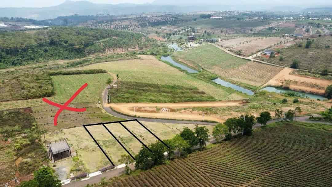 Đất nghỉ dưỡng gần Đồi Chè Tâm Châu – Bảo Lộc 428m² giá chỉ 2.568 tỷ - Tiềm năng phát triển mạnh mẽ!